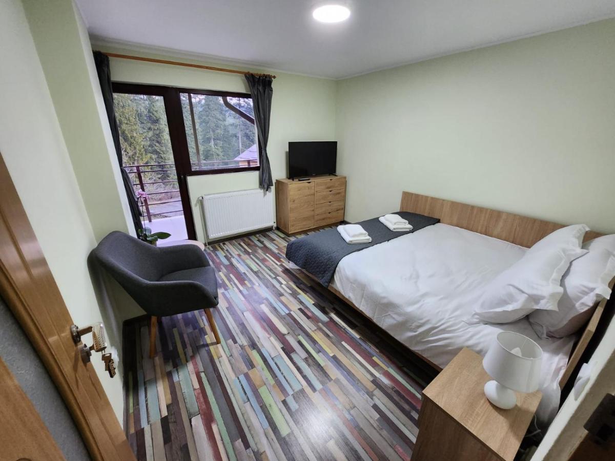 Monica Homestay Busteni