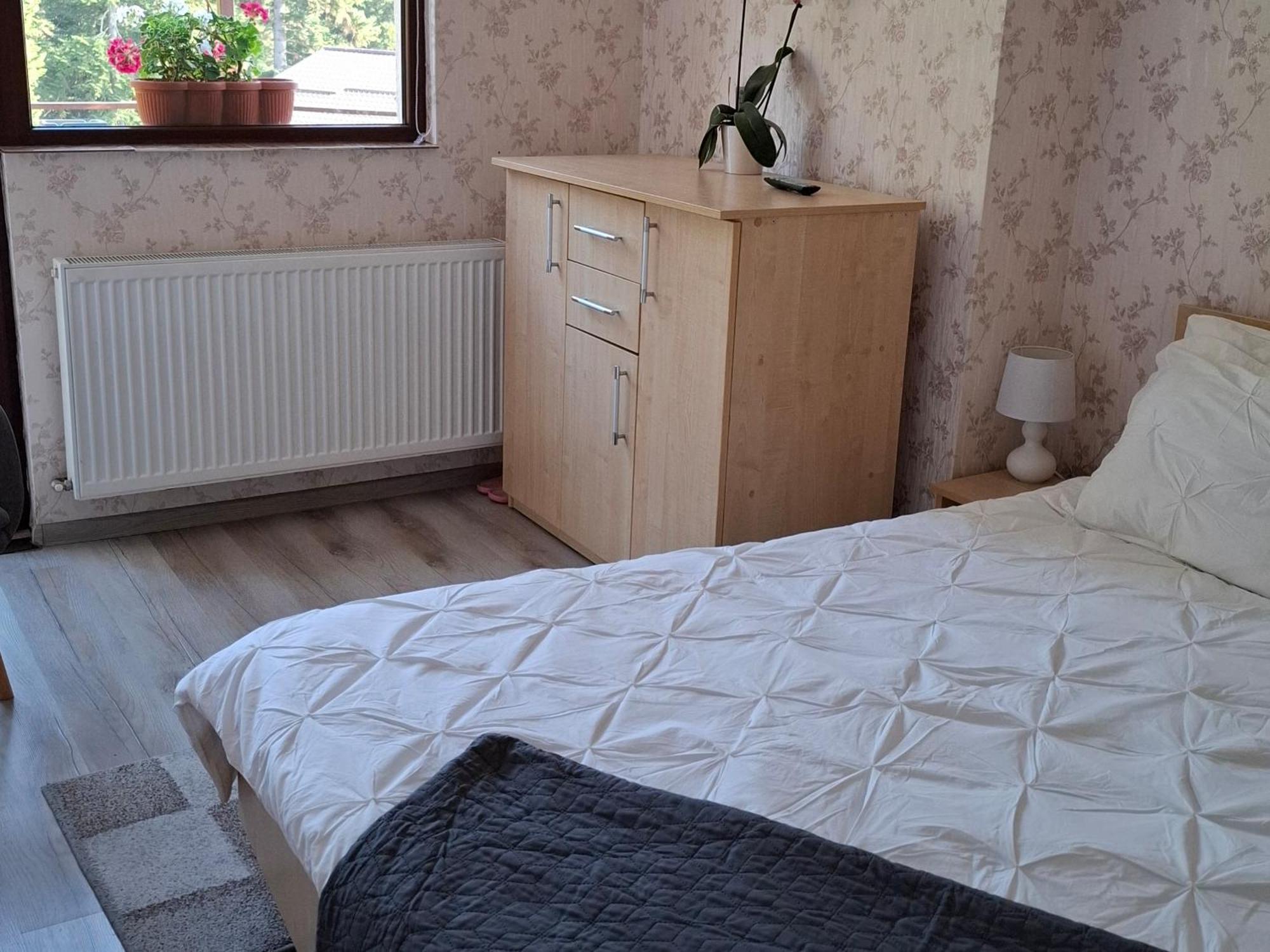 Homestay Monica Busteni